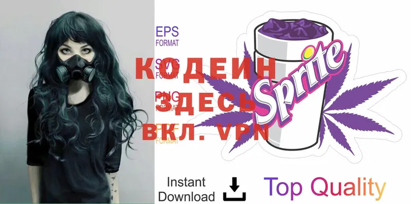 купить   Вытегра  Кодеиновый сироп Lean Purple Drank 