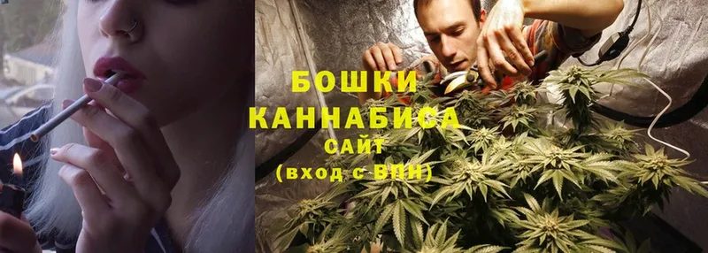 где продают наркотики  Вытегра  Бошки марихуана Ganja 